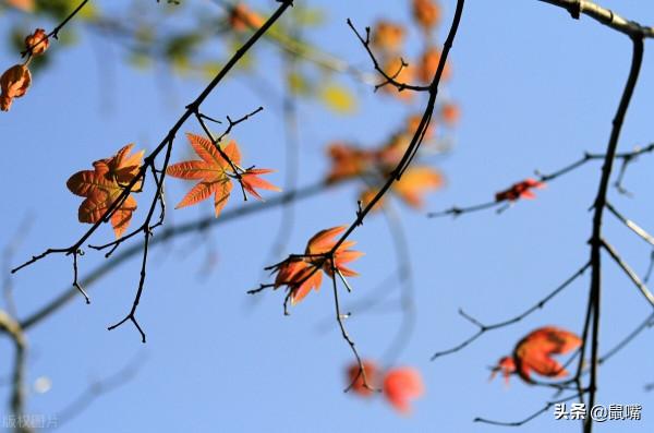 《尉繚子》原文 譯文(十七) 《尉繚子》原文 譯文(十七)