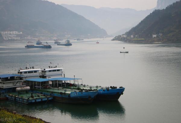 長江“十年禁漁”初顯成效，䲘魚已經現身，鰣魚會出現嗎？