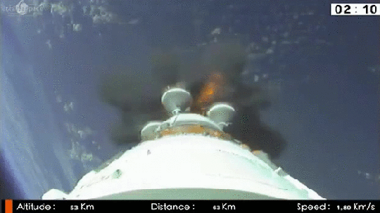 1891歲大樹的年輪，大象推翻汽車，喜鵲騎著白頭鷹，鬣狗飼養員