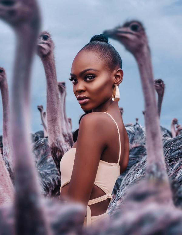 我在肯亞唯一的夢想是看火烈鳥，但我看到的一切都無法形容