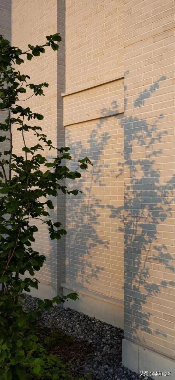 桌布上，我在橋上看風景