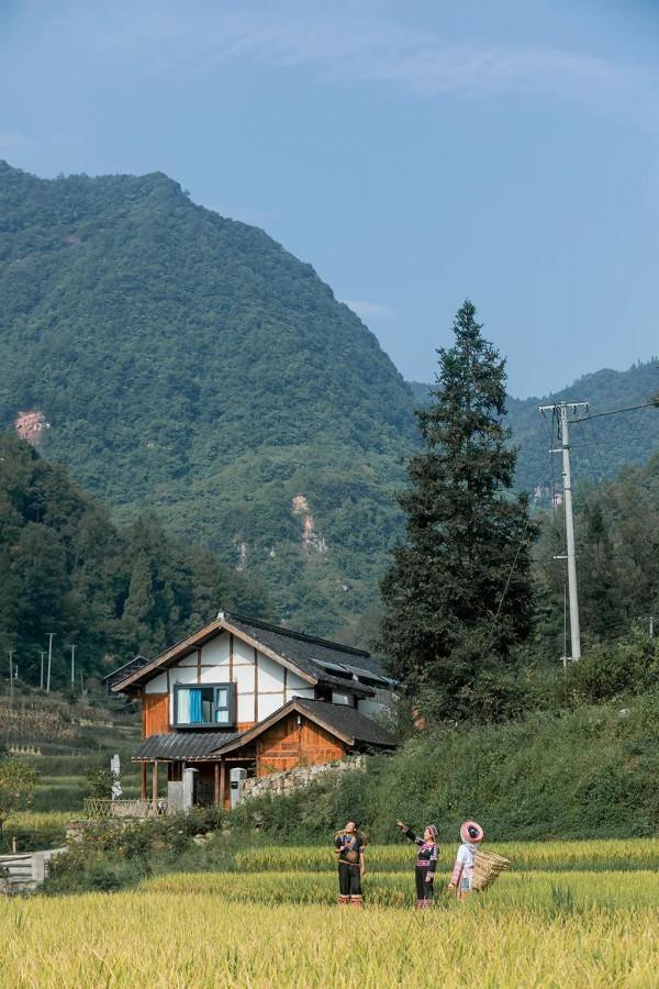 貴州梧桐山民宿丨賞秋季稻田梯田，打卡美宿