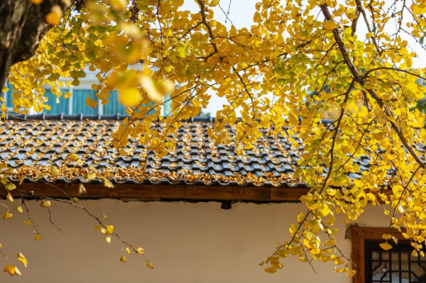 10個藏在深山不為人知的古村落，竟是絕美的“世外桃源”