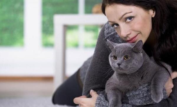 養貓6年,才知道英短貓最期待的主人,原來是這幾種 養貓6年,才知道英短貓最期待的主人,原來是這幾種
