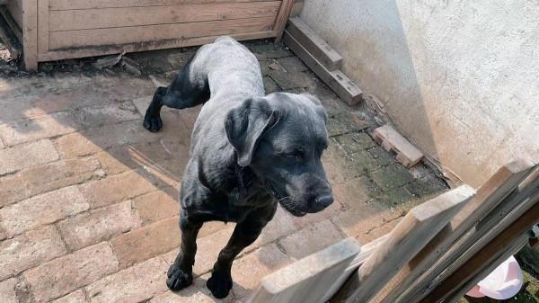 小朋友的天地動物的樂園—水榭萍鄉親子莊園