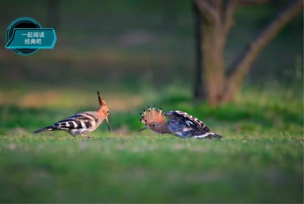 老子的“愚民”思想怎麼形成的 老子的“愚民”思想怎麼形成的