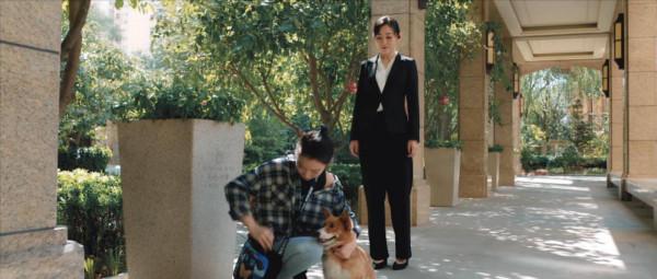 2021評分最高十大網路電影，國產鬼片上榜兩部，宋小寶新片成爆款