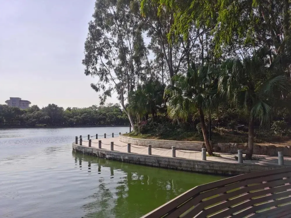 好久不見,中山公園又有哪些新變化 好久不見,中山公園又有哪些新變化