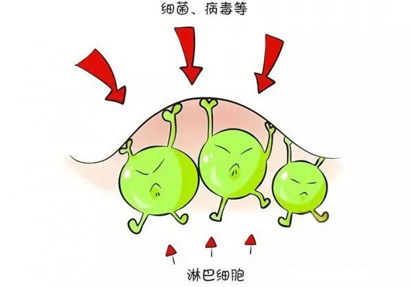 孩子慢性腹痛的背鍋俠——腸繫膜淋巴結炎 孩子慢性腹痛的背鍋俠——腸繫膜淋巴結炎