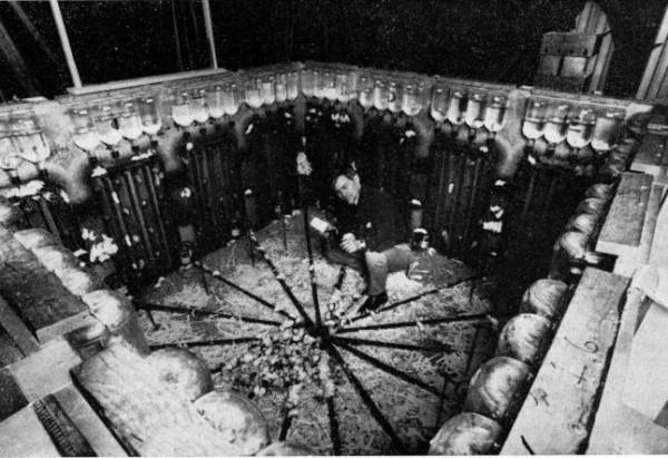 在人造“天堂”裡,老鼠560天后走向滅亡,這就是安逸的結局? 在人造“天堂”裡,老鼠560天后走向滅亡,這就是安逸的結局?