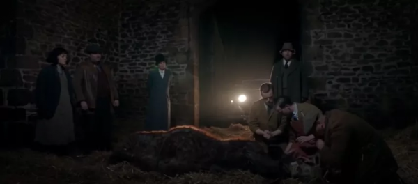 又髒又野,但真招人喜歡 又髒又野,但真招人喜歡