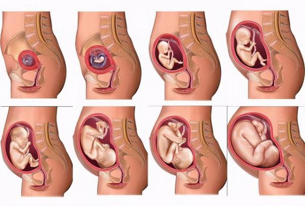 人類正在見證自己進化：手臂長出新血管，頸部出現新器官，進化論