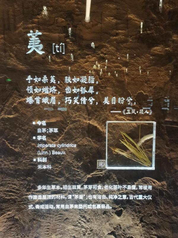 北京世園公園中國館