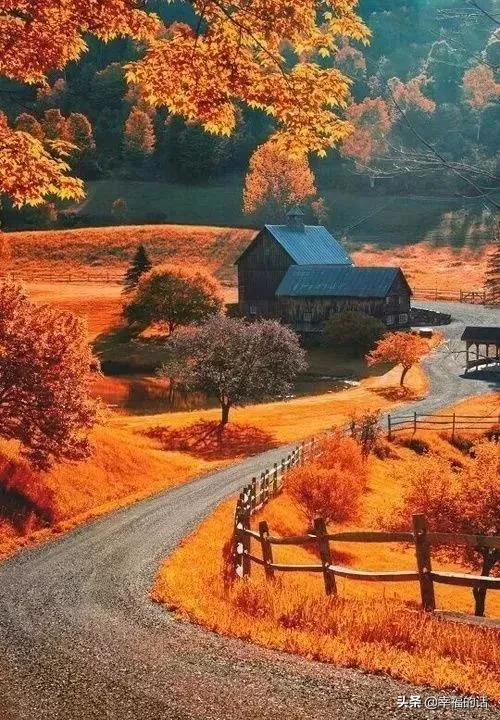 五彩繽紛的世界 五彩繽紛的世界