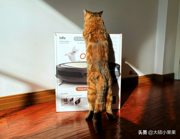 主業掃拖,副業逗喵,這款掃地機擁有一顆有趣的靈魂 主業掃拖,副業逗喵,這款掃地機擁有一顆有趣的靈魂