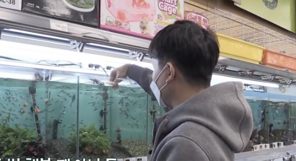 姐姐一句話，韓國小哥在超市義務整理貨架9年，收穫人生最大幸福