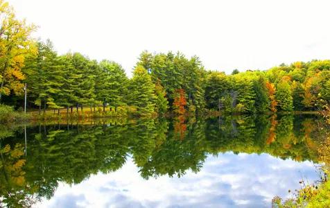 佛蒙特森林風光