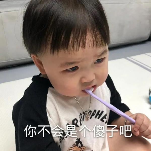 表情包：小狗狗也會生氣的