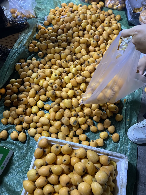 雲南紅河蒙自，大樹寨夜市