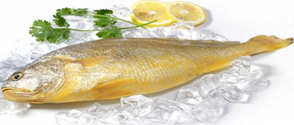 中秋吃魚,這三種魚別錯過!營養豐富味道好,魚販都要誇你是專家 中秋吃魚,這三種魚別錯過!營養豐富味道好,魚販都要誇你是專家