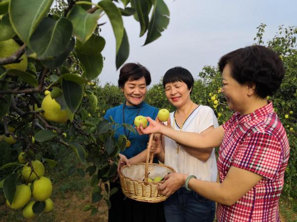 一個隱藏在嵩山腳下的古村落、迄今600多年終被人們發現!袁橋村 一個隱藏在嵩山腳下的古村落、迄今600多年終被人們發現!袁橋村
