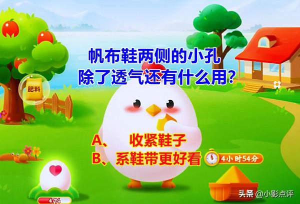 帆布鞋兩側的小孔除了透氣，還有什麼用？螞蟻莊園答案