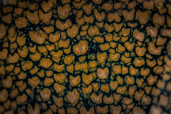 失傳數百年的宋代鷓鴣斑，竟被76歲老人復燒成功，釉水封藏22年