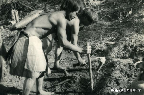 經驗豐富的地質隊員為何殞命哀牢山？楊光海拍“苦聰人”或有答案