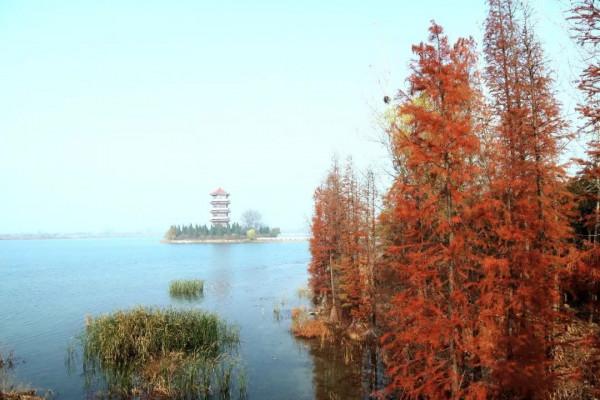 漫遊皖美秋色｜閱盡秋色，美在安徽