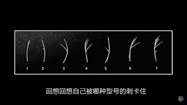 吃魚的萬惡之源——肌間刺,來自硬骨魚的報復 吃魚的萬惡之源——肌間刺,來自硬骨魚的報復