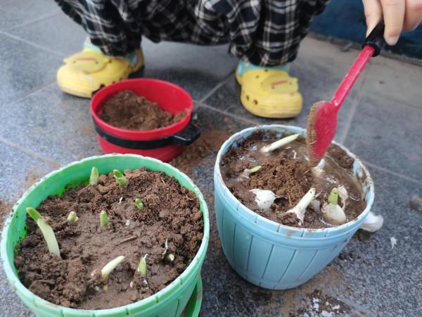 生命的延續 生命的延續