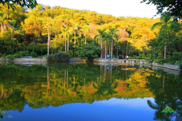 廣西又一景區走紅，全景區由18座大小嶺組成，距市中心30分鐘車程