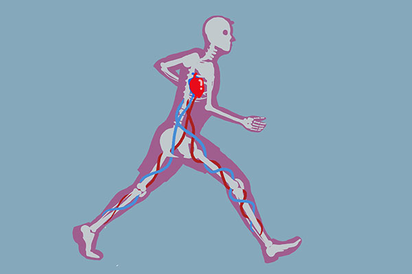 研究發現：老年虛弱，或增加心血管死亡風險，該如何自測、預防？