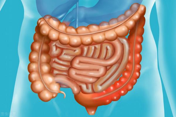 4箇中成藥，益腎健脾、理氣降逆、潤腸通便，改善脾胃，用於便秘