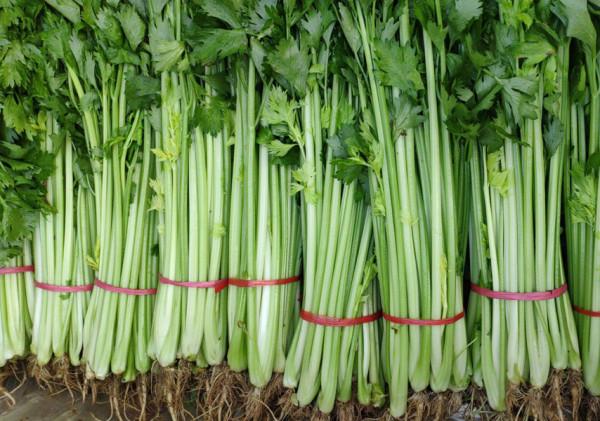 蔬菜“漲價潮”背後，2種蔬菜下跌，最高跌10倍，菜農：賠錢也賣