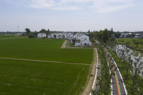 走,到練塘徐練村打卡去 走,到練塘徐練村打卡去