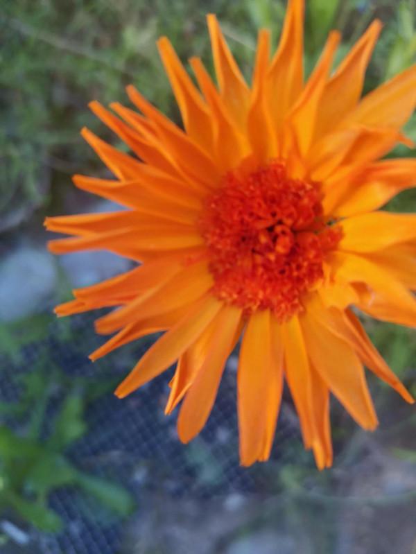 激勵讓你的人生別樣精彩 激勵讓你的人生別樣精彩