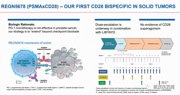 聚焦藥靶：從診斷到治療，PSMA的最新研究進展