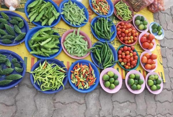 初到永珍的半天遊 初到永珍的半天遊