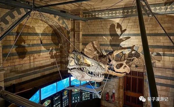 管道穿行間,遊遍倫敦—博物館篇之自然歷史博物館(下) 管道穿行間,遊遍倫敦—博物館篇之自然歷史博物館(下)