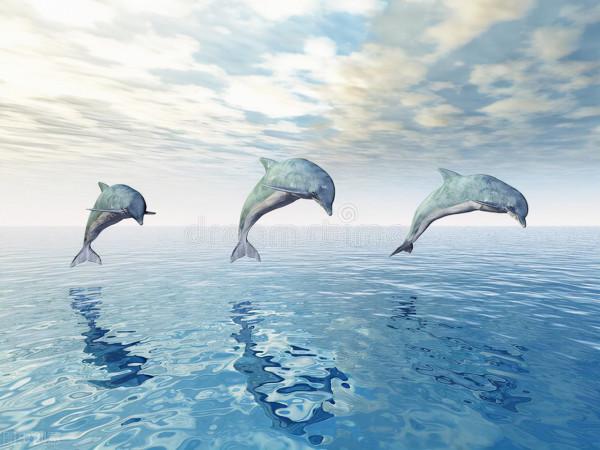 會唱歌作曲的鯨魚,1977年發向太空的唱片,就有它的歌聲 會唱歌作曲的鯨魚,1977年發向太空的唱片,就有它的歌聲