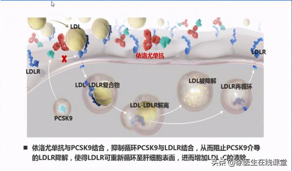 新型降脂藥獲批上市，降低心梗、腦卒中和血運重建風險