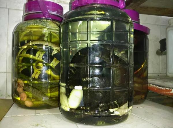 酒變蛇的“洗澡水”?毒蛇泡酒一年,開瓶後竄出咬人,這是為何? 酒變蛇的“洗澡水”?毒蛇泡酒一年,開瓶後竄出咬人,這是為何?