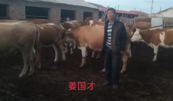 “鄉村振興，萬戶建立”——“農創杯”肉牛養殖科技示範戶已經產生啦！