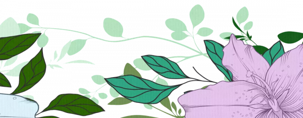 北京生物圖鑑 &vert; 無蹼壁虎