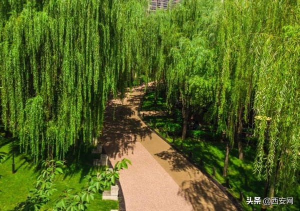 秋季必去盤點,這裡竟然高達五星 秋季必去盤點,這裡竟然高達五星