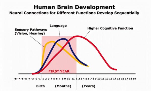 Boshe博舍托育——在玩中學,讓你的寶寶更聰明 Boshe博舍托育——在玩中學,讓你的寶寶更聰明