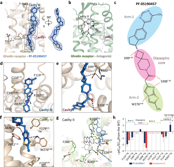 腦科學日報:為什麼治療方法越來越多,但抑鬱症卻沒有減少? 腦科學日報:為什麼治療方法越來越多,但抑鬱症卻沒有減少?