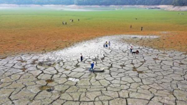 全球汽車晶片困在連環劫