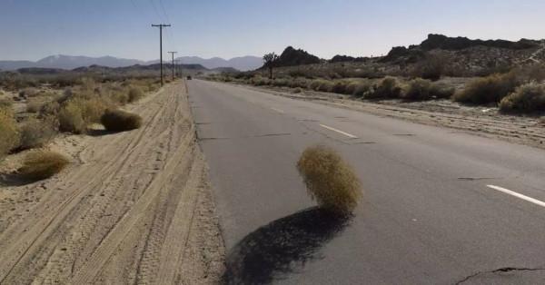 風滾草在美國玩瘋了，堵住公路淹沒小鎮，為何到中國就啞火了？